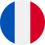 language-icon